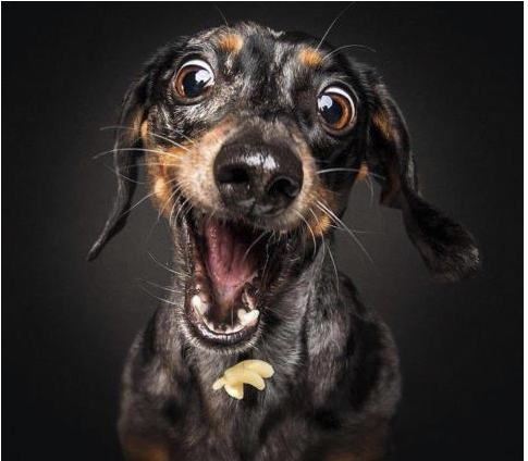 Billede af Endnu ukendt